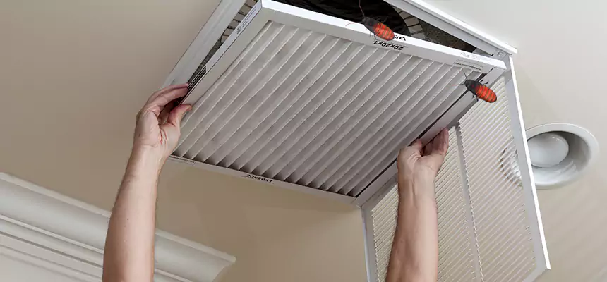 Preventive Cockroach-Proofing for Ducts in San Jacinto