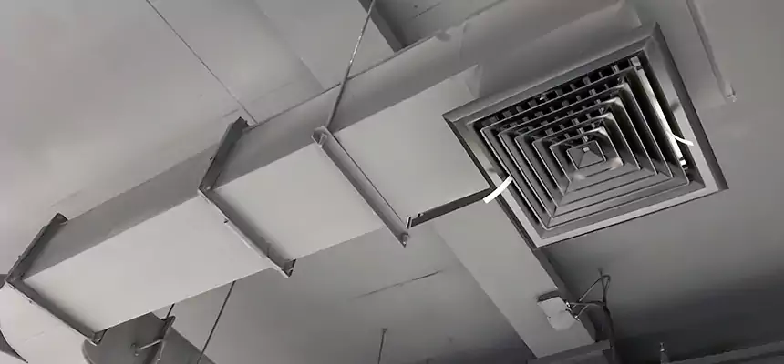 Restorative Allergy Relief Vent Cleaning – Coil, Blower & Housing Detail in San Jacinto