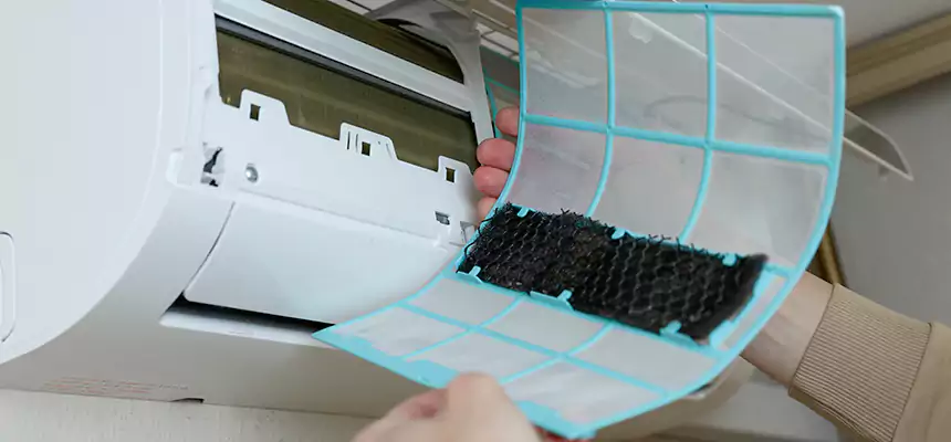 Gentle Ductwork Odor-Control Pet Dander Duct Cleaning in San Jacinto, CA