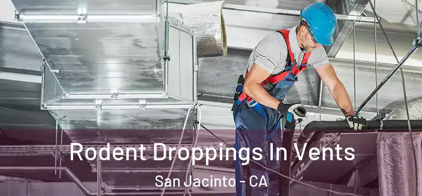 Rodent Droppings In Vents San Jacinto - CA