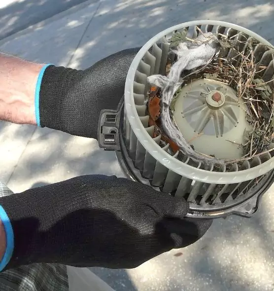 About Air Duct Mice Removal in San Jacinto, CA