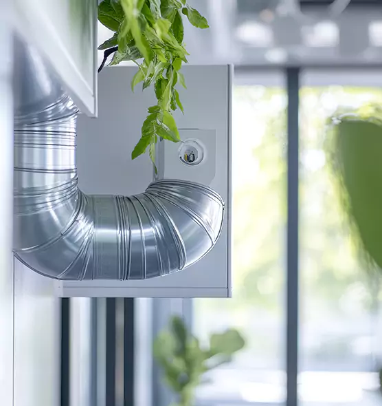 Professional Eco-Friendly Duct Cleaning Services in San Jacinto, CA