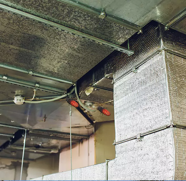 Why Homeowners & Businesses Trust Us in San Jacinto, CA?