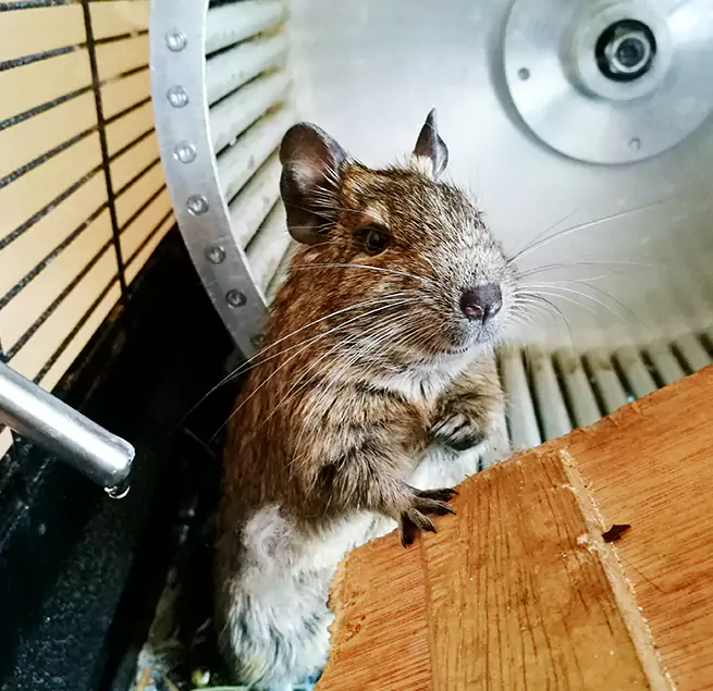 Why Homeowners & Businesses Trust Us San Jacinto, CA?