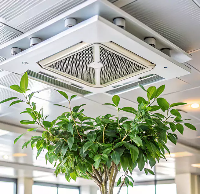 Why Homeowners & Businesses Trust Us in San Jacinto, CA