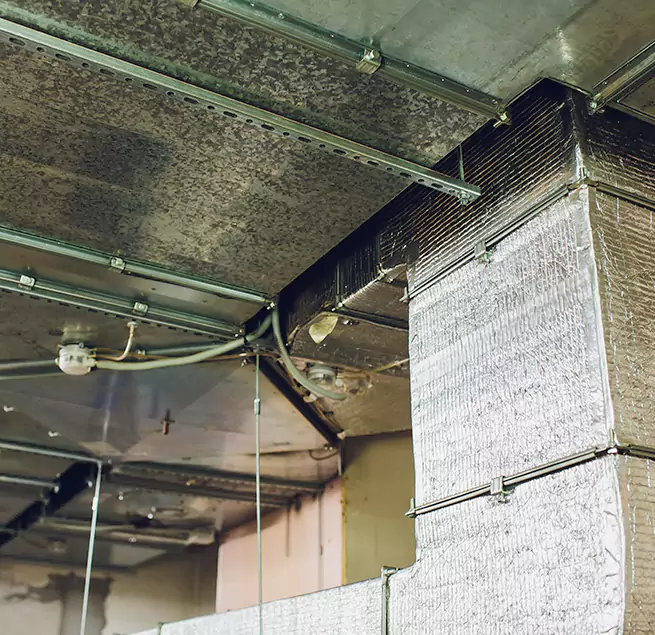 Why Homeowners & Businesses Trust Us in San Jacinto, CA?