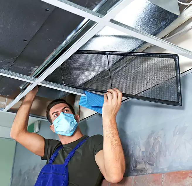 Why Homeowners Businesses Trust Us in San Jacinto, CA